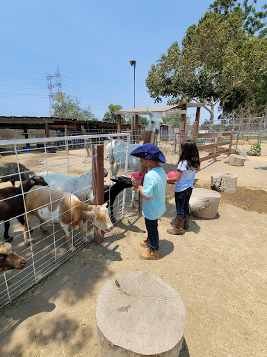 Pony Time at Lakewood Equestrian Center image