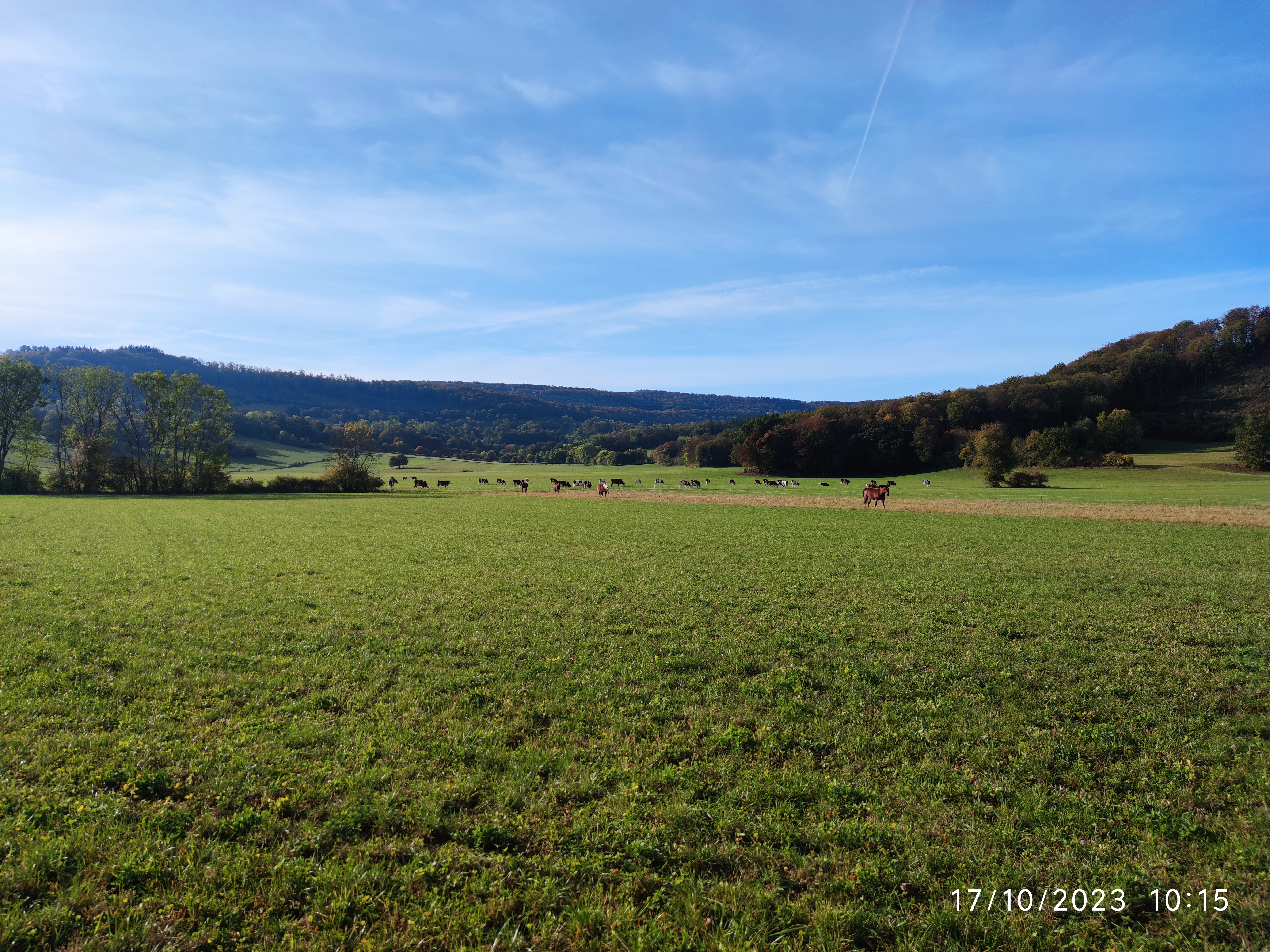 Photo n° 40 de l'avis de Patrick.i fait le 12/12/2023 à 10:07