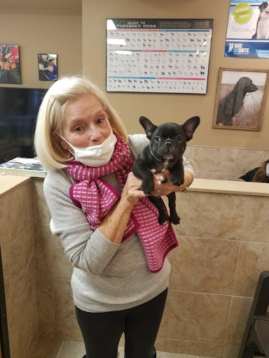 Pet Store «Perfect Pets», reviews and photos, 6840 S University Blvd #410, Centennial, CO 80122, USA