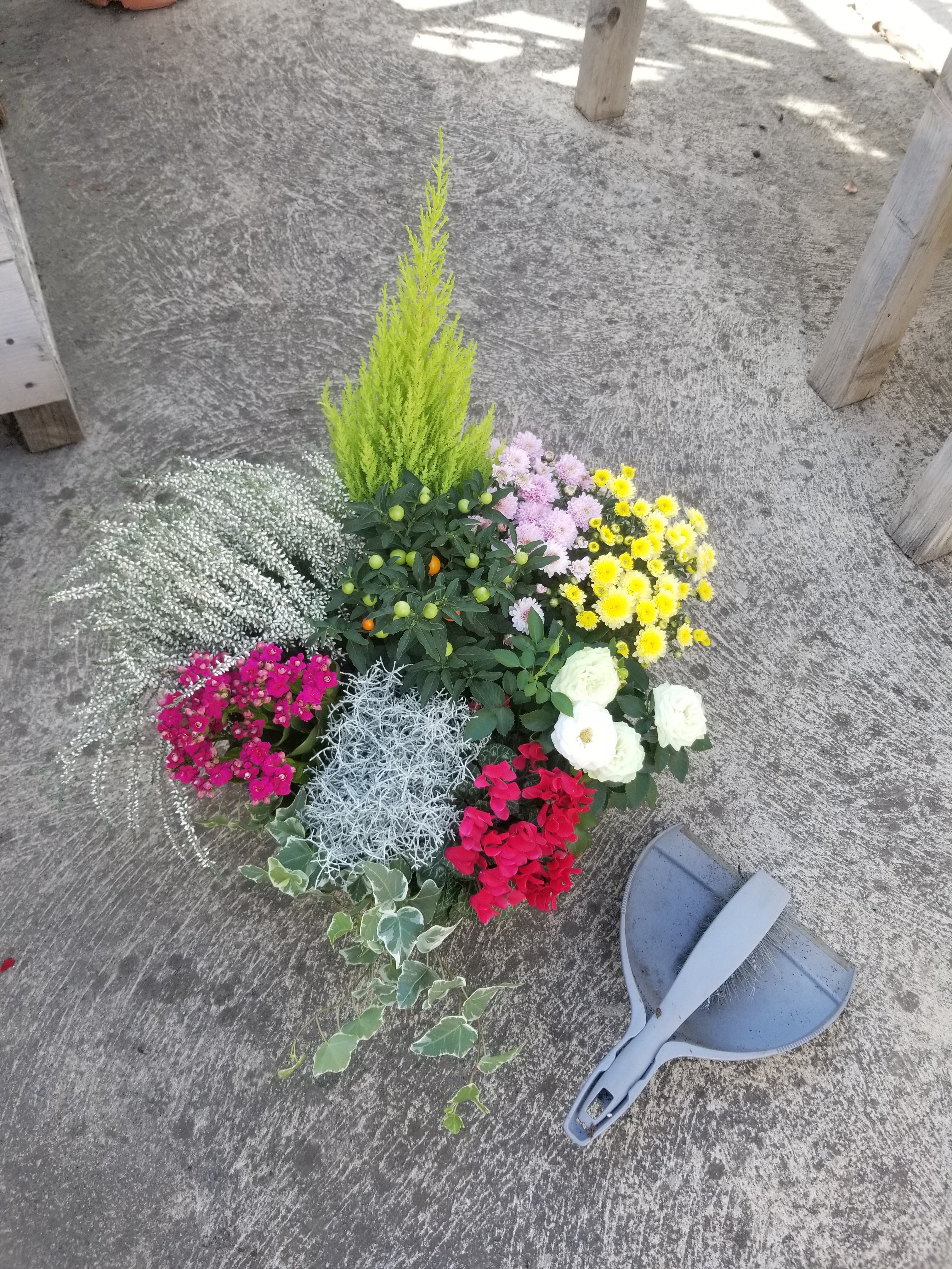 Photo n° 1 de l'avis de C.n fait le 20/09/2022 à 16:05