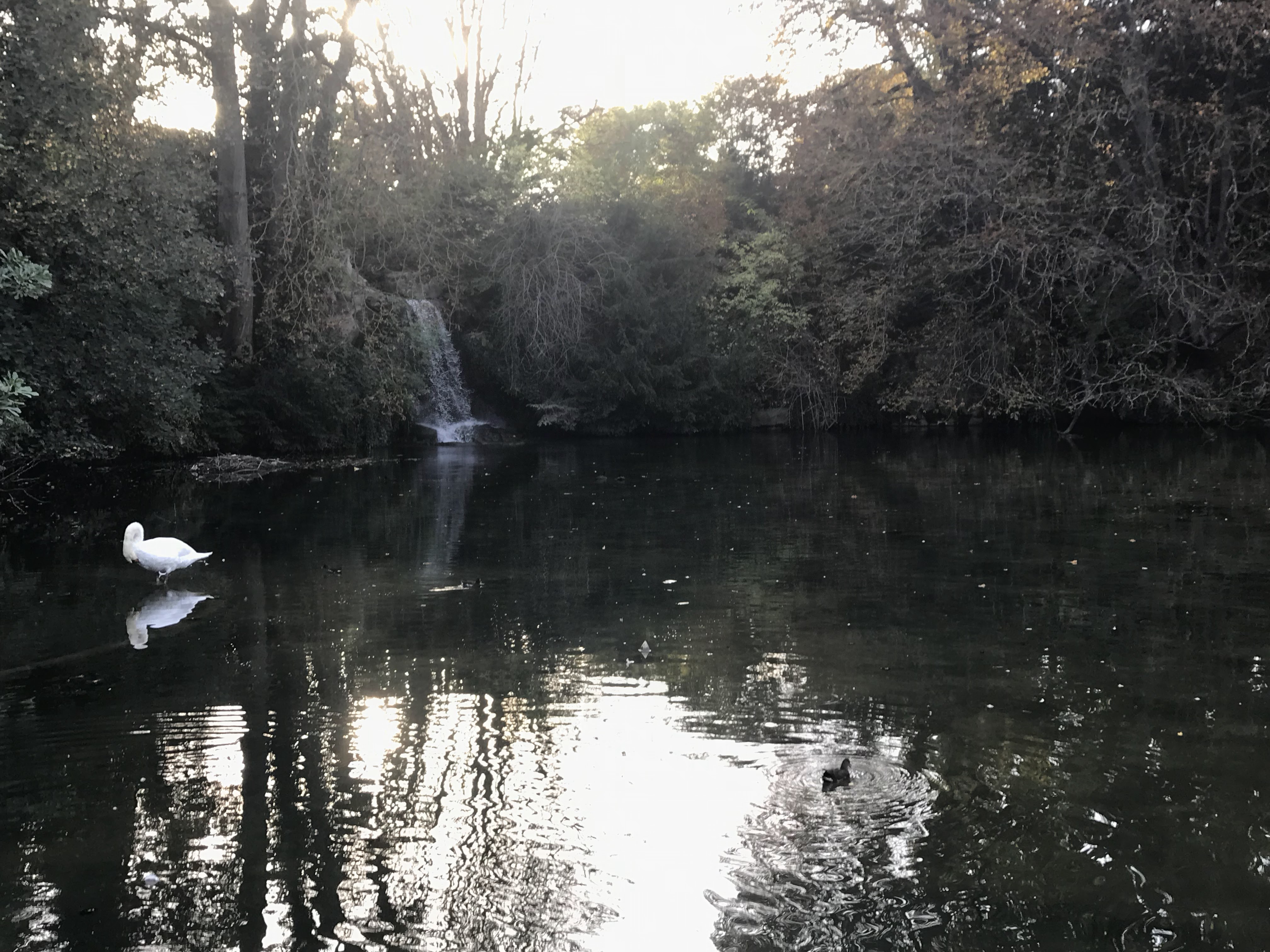 Photo n° 2 de l'avis de Martin.a fait le 07/12/2018 à 22:31