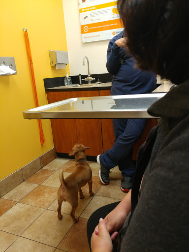 Pet Supply Store «PetSmart», reviews and photos, 4005 Airport Fwy, Irving, TX 75062, USA