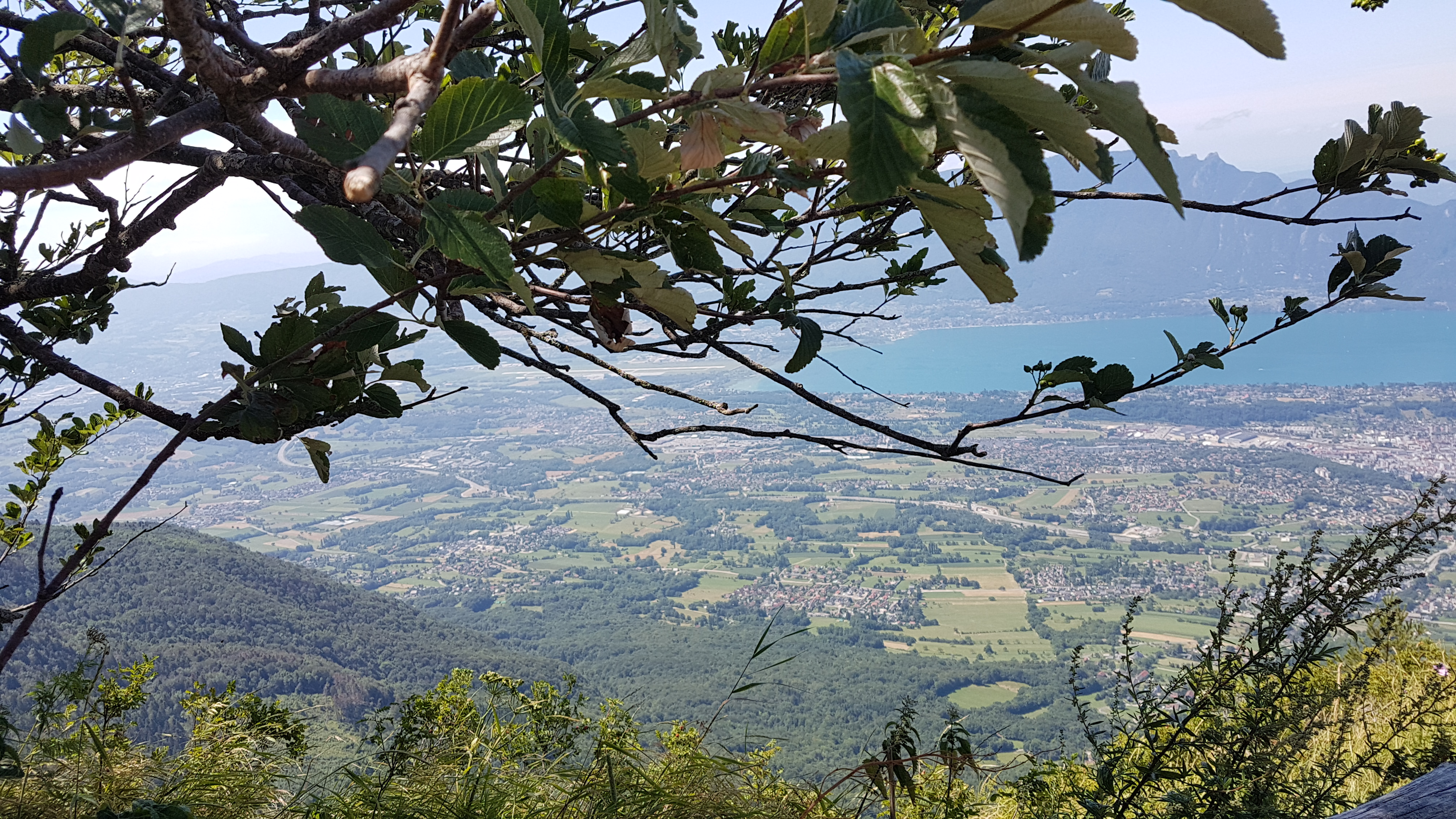 Photo n° 3 de l'avis de Jean.i fait le 11/08/2019 à 12:35
