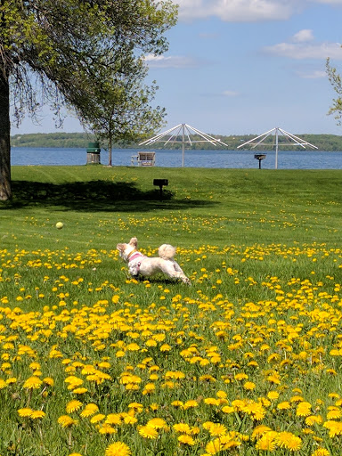 Park «Lake Waconia Regional Park», reviews and photos, 8170 Paradise Ln, Waconia, MN 55387, USA
