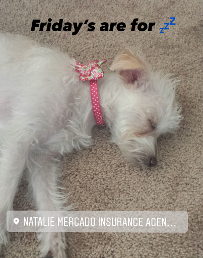 Insurance Agency «Farmers Insurance - Natalie Mercado», reviews and photos