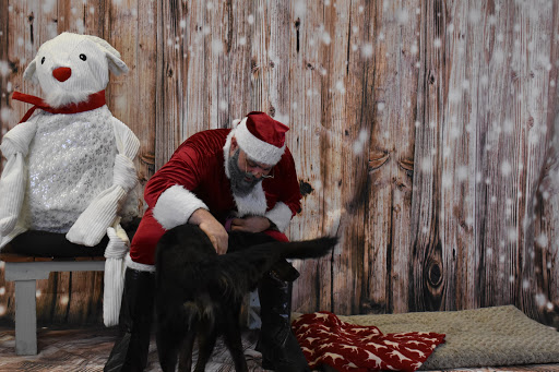 Pet Supply Store «Thomaston Feed of Cheshire», reviews and photos, 851 S Main St, Cheshire, CT 06410, USA