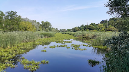 Soroksár, Molnár-sziget