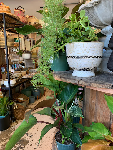 Florist «Flora», reviews and photos, 428 Haywood Rd B, Asheville, NC 28806, USA