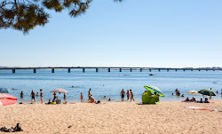 Terron beach'in fotoğrafı ve yerleşim