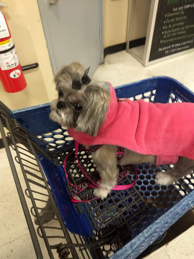 Pet Supply Store «PetSmart», reviews and photos, 45050 Northpointe Blvd, Utica, MI 48315, USA