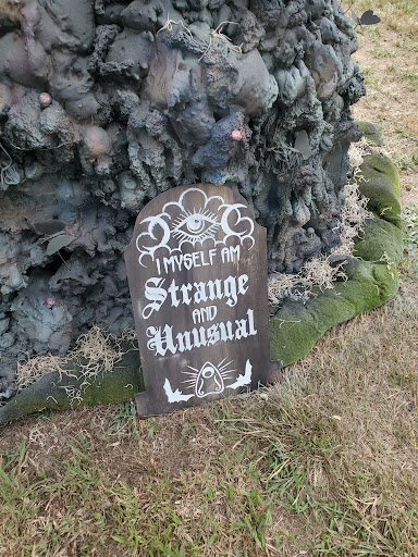 Explore leo horoscope tattoo ideas, creative tattoo ideas in North Berwick, available at Skull and Snake Tattoo Studio Art Gallery