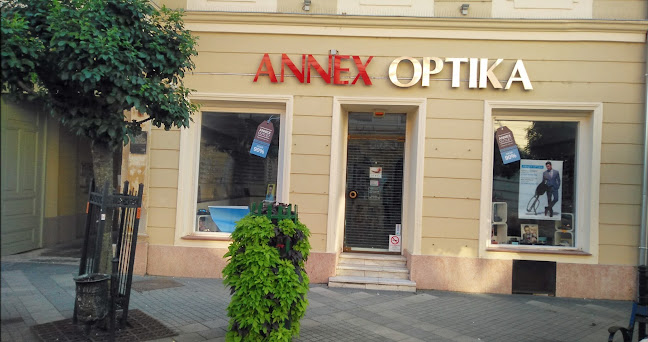 Annex Optika