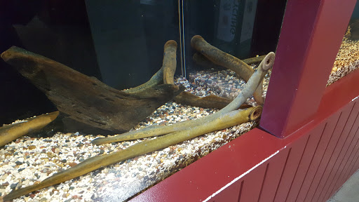 Aquarium «Great Lakes Aquarium», reviews and photos, 353 Harbor Dr, Duluth, MN 55802, USA