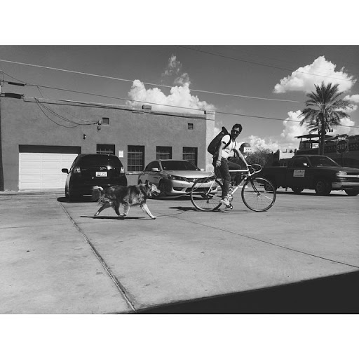 Bicycle Repair Shop «Ordinary Bike Shop», reviews and photos, 311 E 7th St, Tucson, AZ 85705, USA