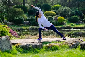 Yogalily | Yoga TaiChi Qigong Wellness image
