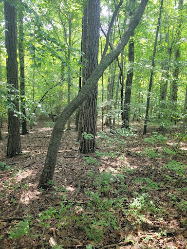 Nature Preserve «Lake Maury Natural Area», reviews and photos, Gatewood Rd, Newport News, VA 23601, USA