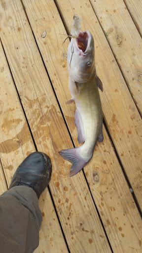 Tropical Fish Store «Glasscages.com LLC», reviews and photos, 1500 E Piney Rd, Dickson, TN 37055, USA