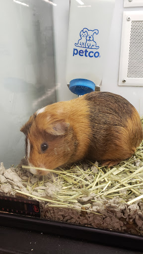 Pet Supply Store «Petco Animal Supplies», reviews and photos, 6425 Keizer Station Blvd, Keizer, OR 97303, USA