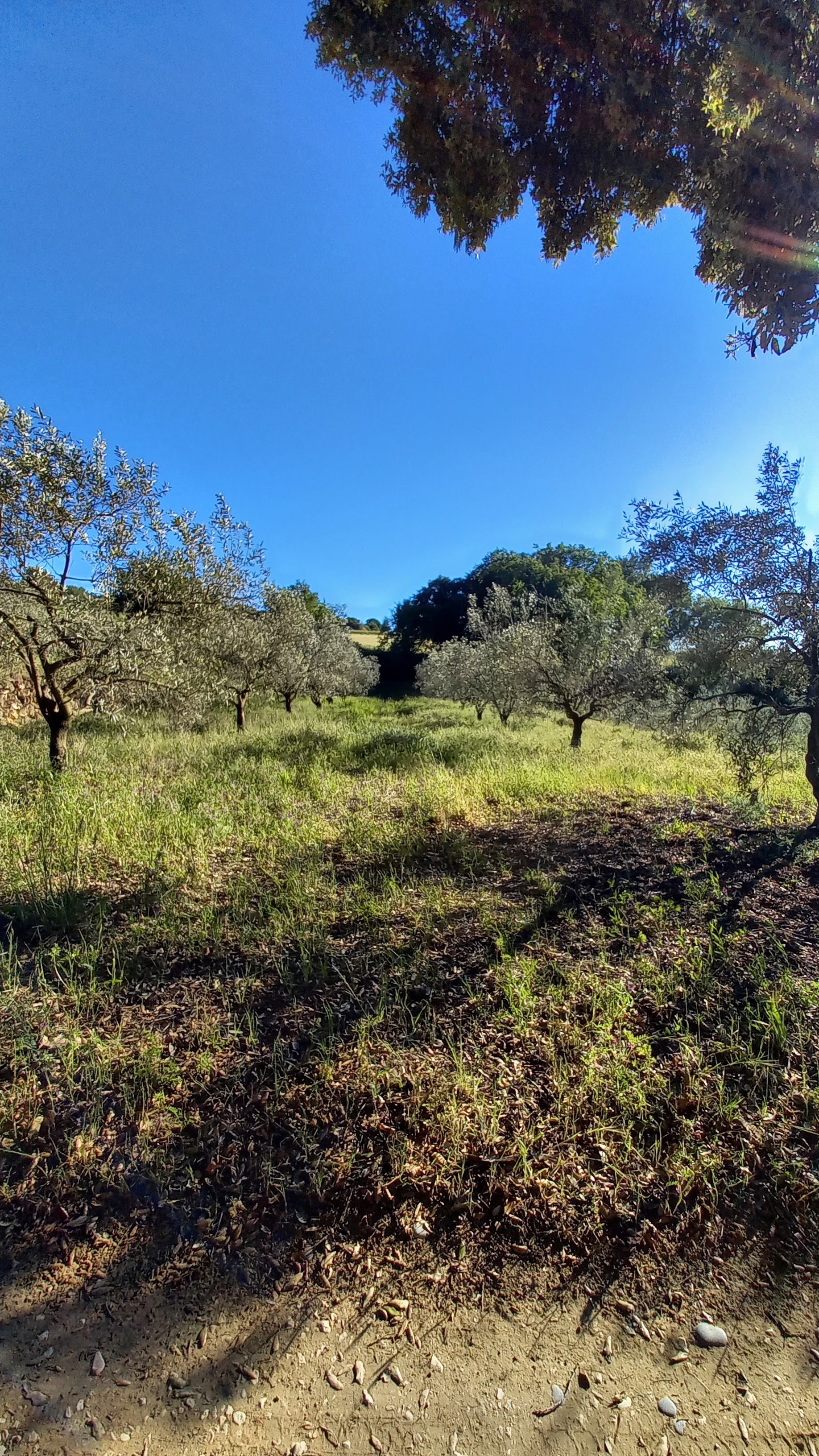 Photo n° 2 de l'avis de Valérie.a fait le 25/05/2021 à 18:52