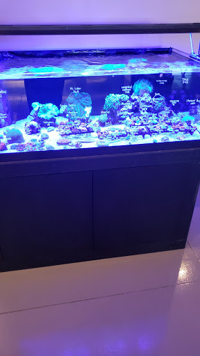 Aquarium «The Reef Shoppe», reviews and photos, 1969 East Ridge Road, Rochester, NY 14622, USA