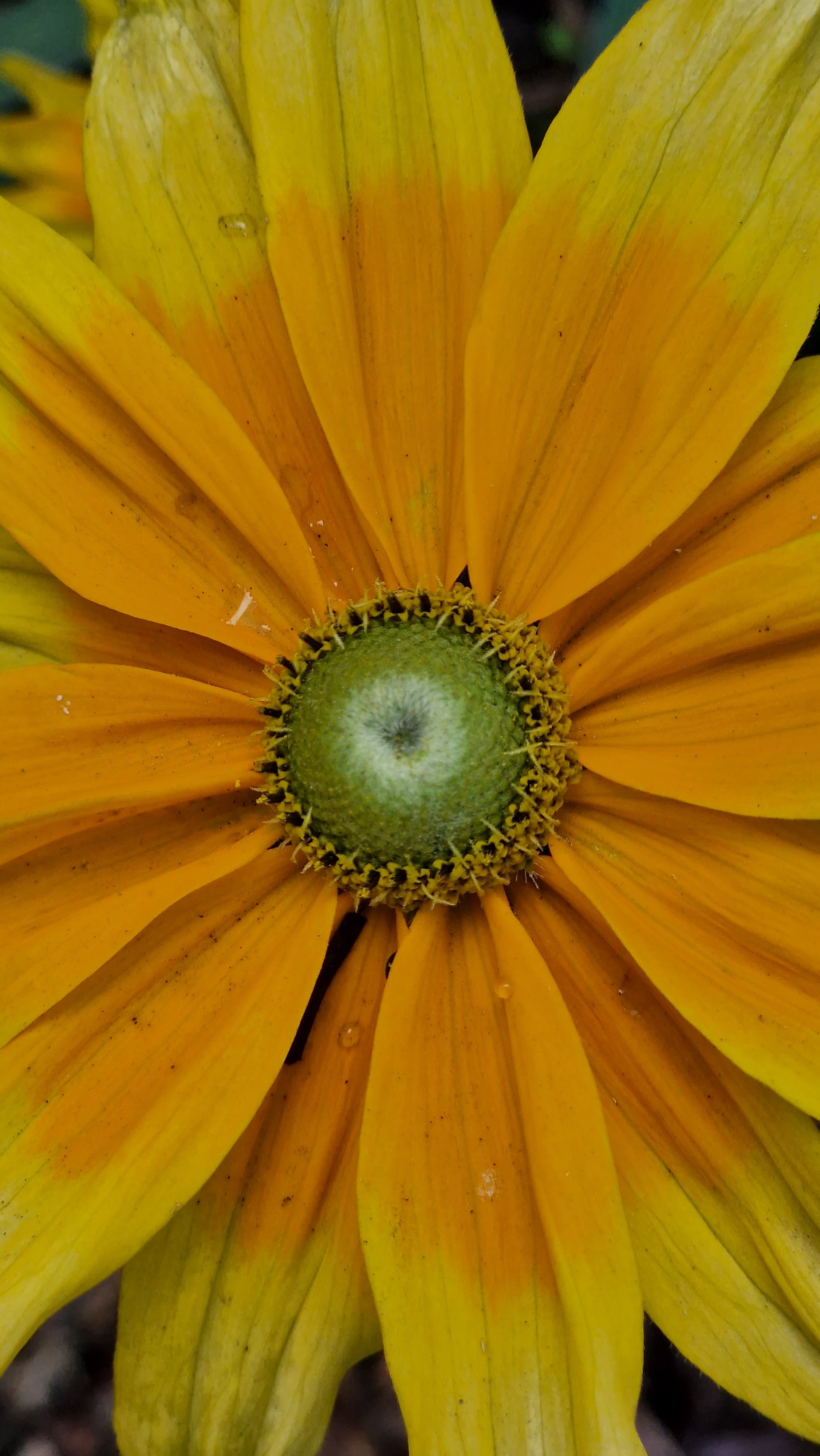 Photo n° 8 de l'avis de Xavier.E fait le 07/08/2022 à 10:27