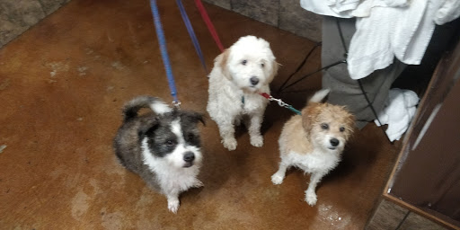 Pet Supply Store «Pet Food Plus», reviews and photos, 2819 E Hamilton Ave, Eau Claire, WI 54701, USA