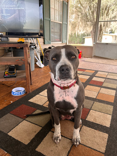 Putnam County Humane Society