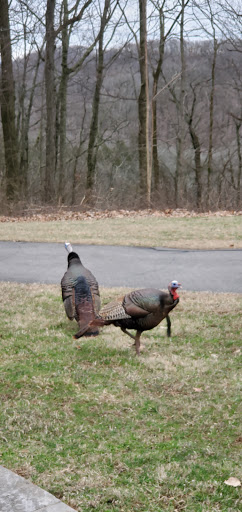 Observatory «Vanderbilt Dyer Observatory», reviews and photos, 1000 Oman Dr, Brentwood, TN 37027, USA