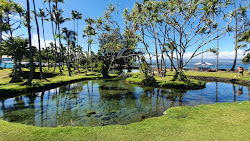 Richardson Ocean Park'in fotoğrafı düz bir kıyı şeridi ile birlikte