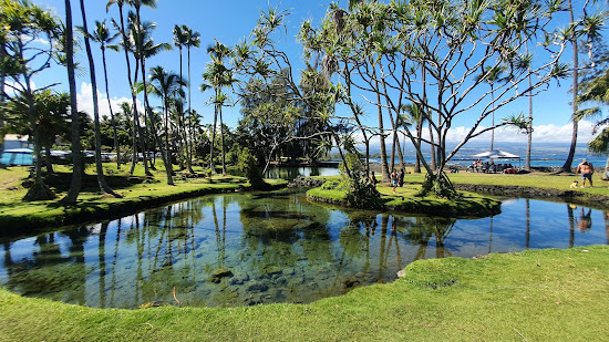 Richardson Ocean Park