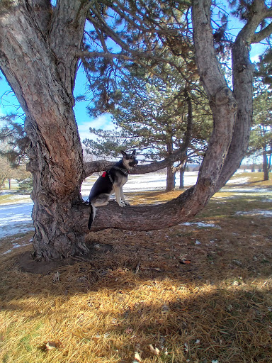 Golf Course «Highland National Golf Course», reviews and photos, 1403 Montreal Avenue, St Paul, MN 55116, USA