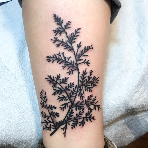 Explore taylor swift lyric tattoo ideas, creative tattoo ideas in Brooklyn, available at Electric Lotus Tattoo