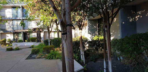 Holiday Inn Dublin-Pleasanton, an IHG Hotel image