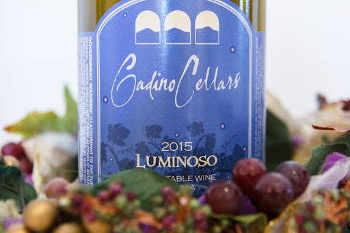 Winery «Gadino Cellars», reviews and photos, 92 School House Rd, Washington, VA 22747, USA