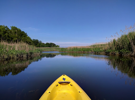 State Park «Hammerman Area Beach», reviews and photos, 7200 Graces Quarters Road, Middle River, MD 21220, USA