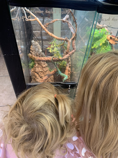 Pet Store «Animal Ark Pet Stores», reviews and photos, 33 Center St, Orem, UT 84057, USA