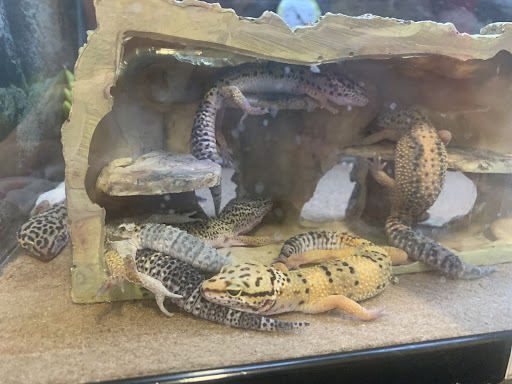 Pet Supply Store «Petco Animal Supplies», reviews and photos, 17132 W Colfax Ave, Golden, CO 80401, USA