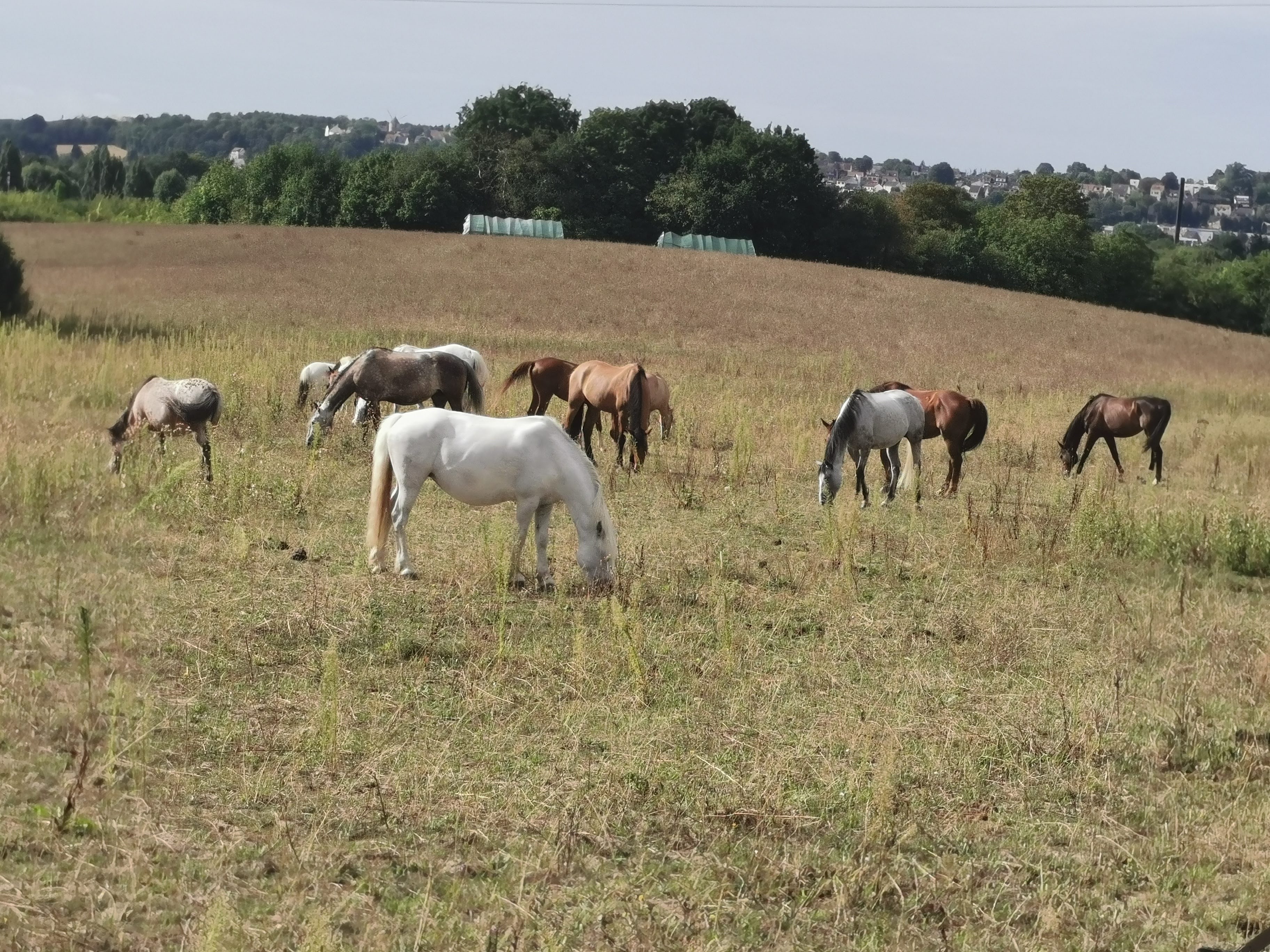 Photo n° 4 de l'avis de Bruno.r fait le 23/08/2020 à 11:53