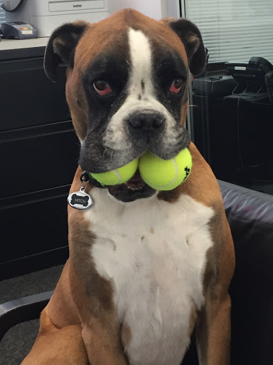 Ford Dealer «Hillyers Mid-City Ford», reviews and photos, 3000 Hillyer Ln, Woodburn, OR 97071, USA