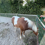 Photo n°3 de l'avis de Timo.o fait le 12/07/2022 à 13:16 sur le  Huber-Hof à Iffezheim