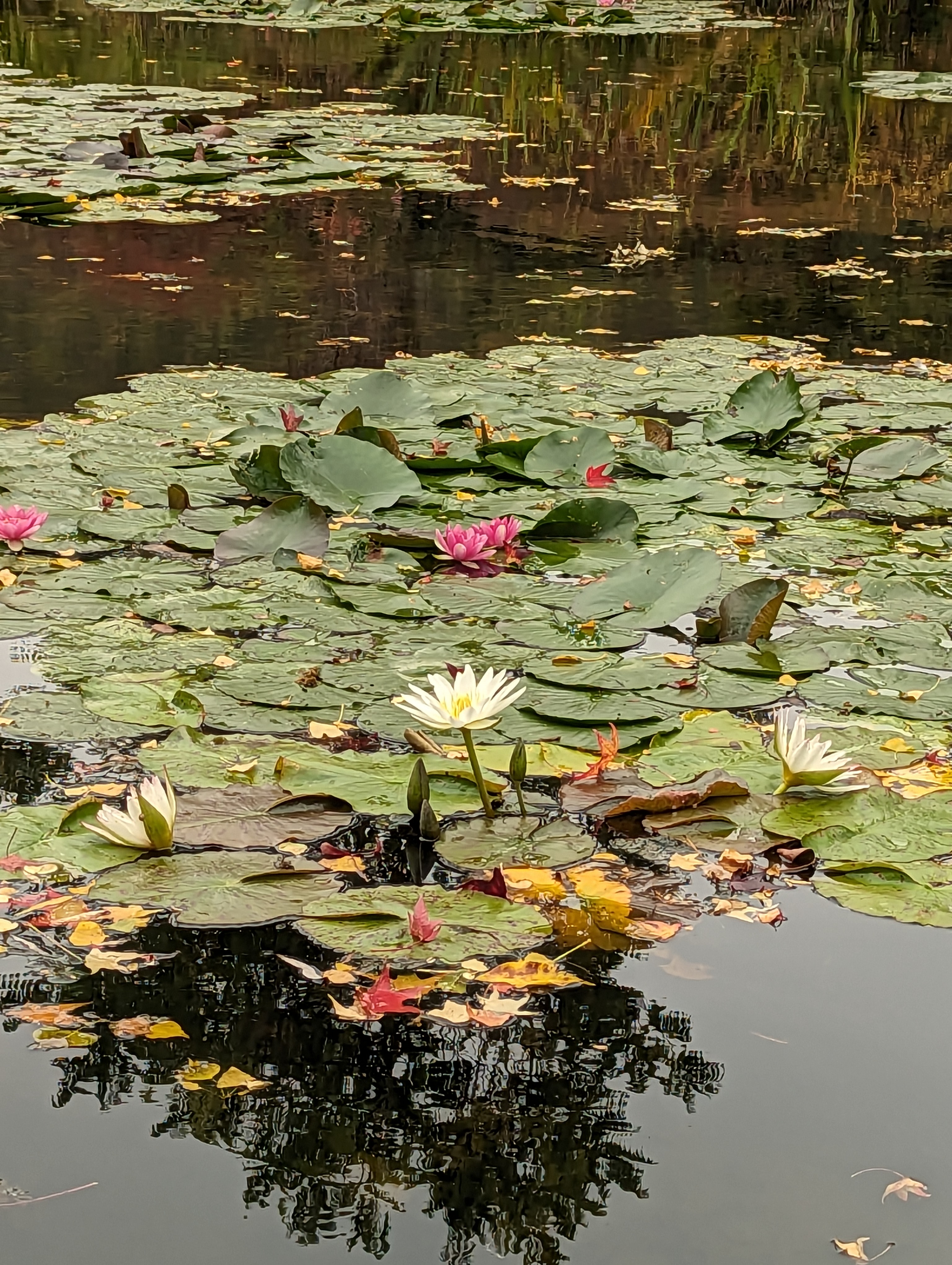 Photo n° 9 de l'avis de Salima.l fait le 05/11/2023 à 22:12