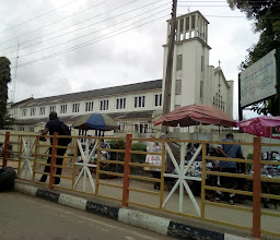 Cathedral Motor Park photo