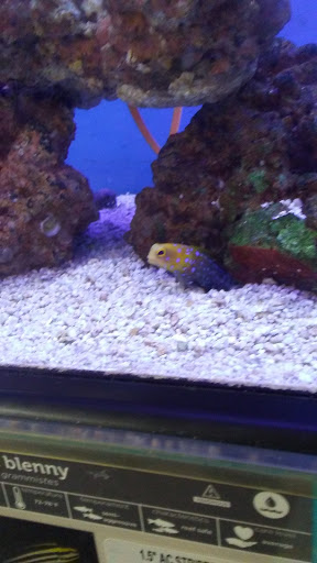 Pet Supply Store «Petco Animal Supplies», reviews and photos, 993 Branson Hills Pkwy, Branson, MO 65616, USA