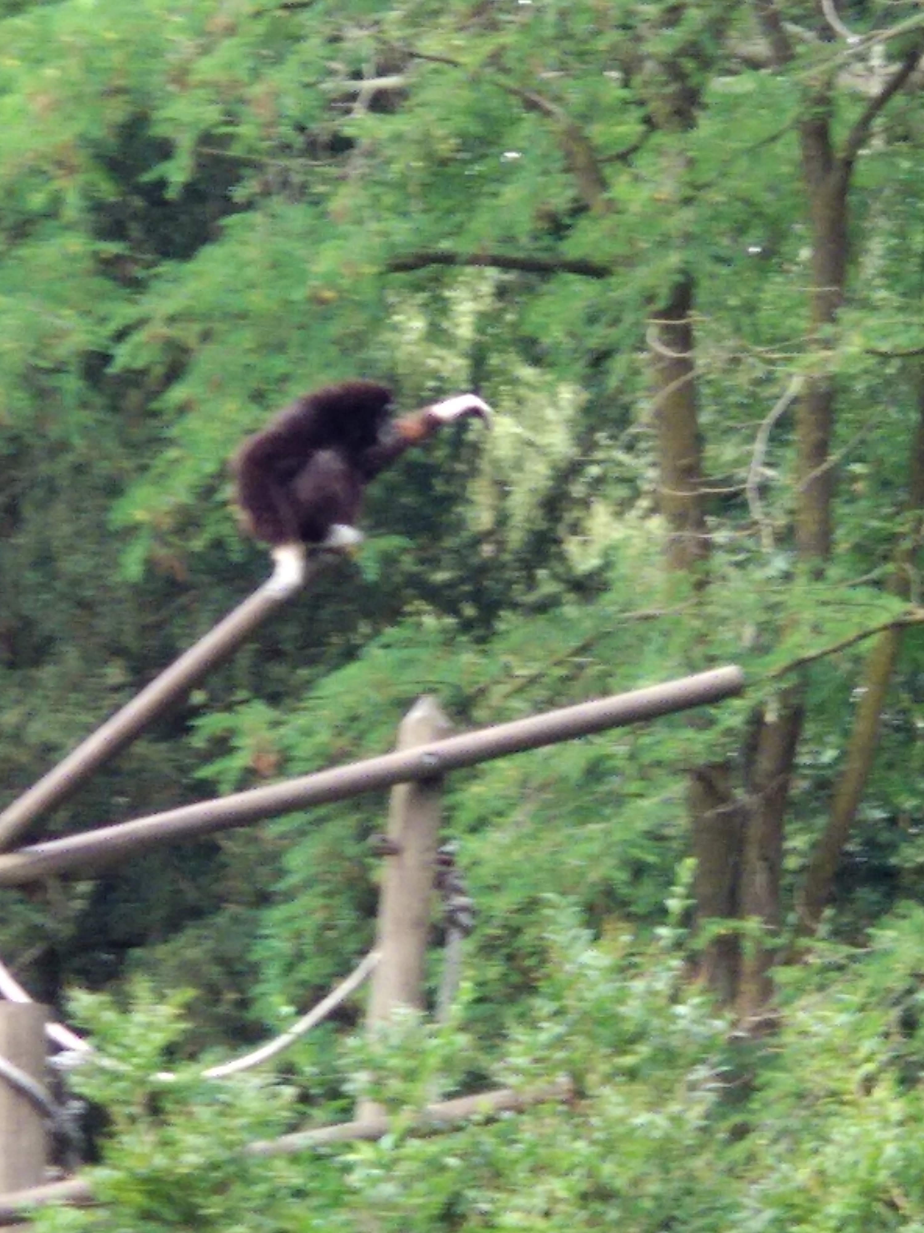 Photo n° 9 de l'avis de Xavier. fait le 10/08/2018 à 16:35