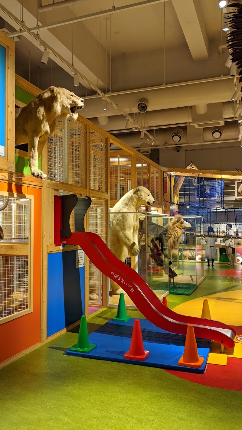 親と子のたんけんひろば コンパス 東京都台東区上野公園 屋内遊技場 グルコミ
