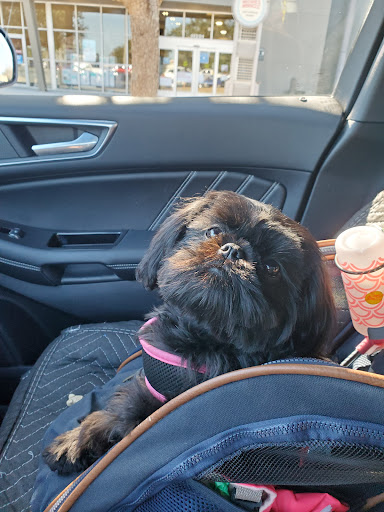 Pet Supply Store «PetSmart», reviews and photos, 11331 Causeway Blvd, Brandon, FL 33511, USA