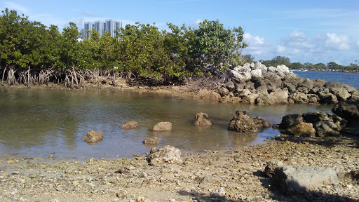 Park «Haulover Park», reviews and photos, 10800 Collins Ave, Miami Beach, FL 33154, USA