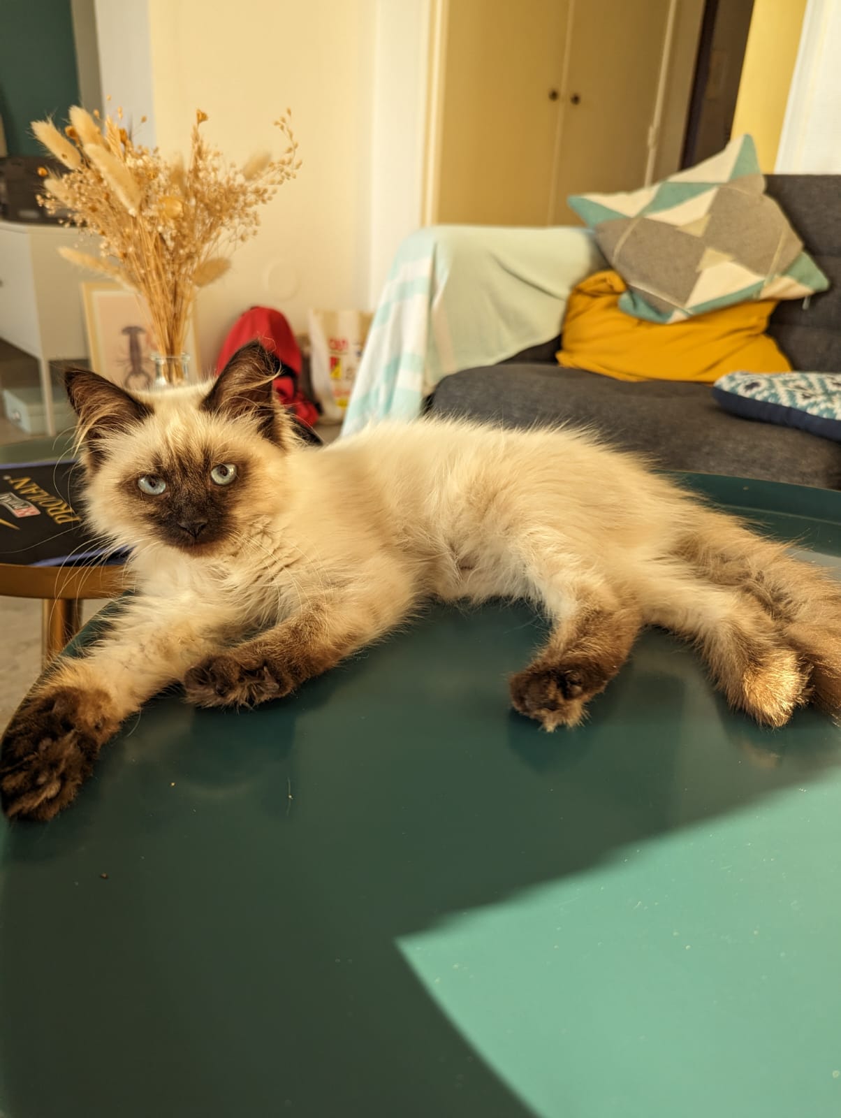 Photo n° 1 de l'avis de K.o fait le 26/10/2023 à 21:43