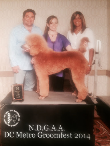 Pet Supply Store «Dogma Bakery», reviews and photos, 2772 S Arlington Mill Dr, Arlington, VA 22206, USA