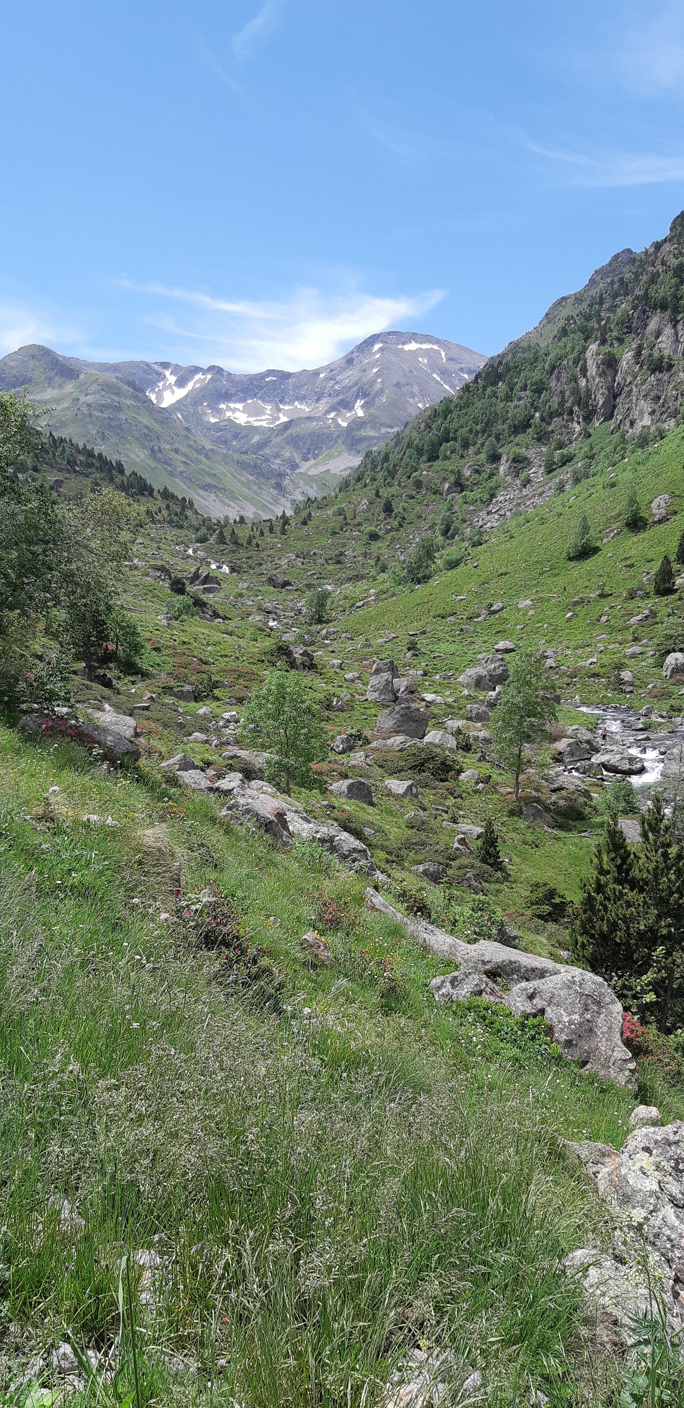 Photo n° 12 de l'avis de Yannick.a fait le 10/07/2019 à 09:58